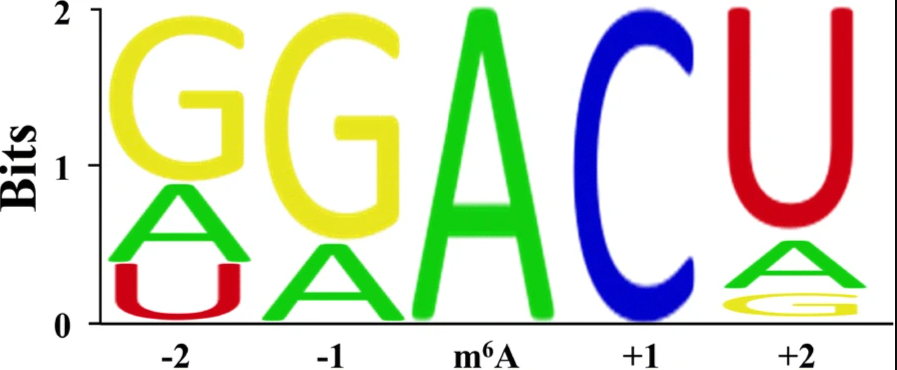 RNA m6A修饰问题汇总（第一期）