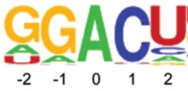 图1.png